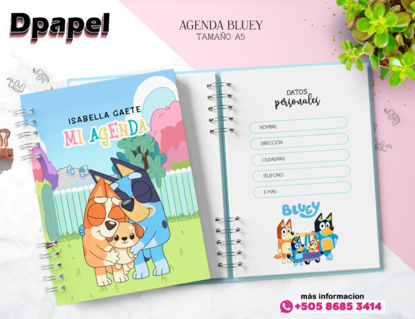 Agenda Bluey